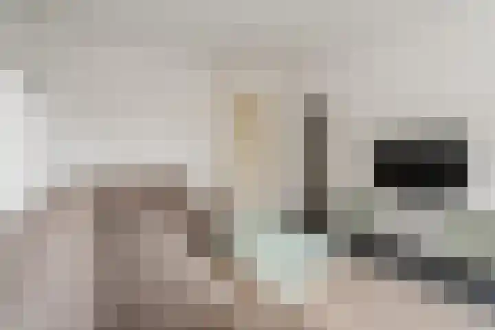 Julianaplantsoen 153 Diemen thumbnail 16