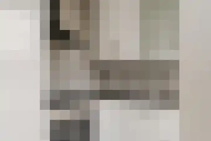 Julianaplantsoen 153 Diemen thumbnail 20