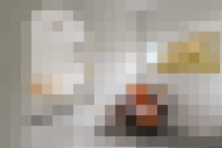 Julianaplantsoen 153 Diemen thumbnail 28