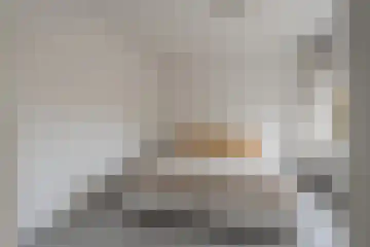 Julianaplantsoen 153 Diemen thumbnail 29