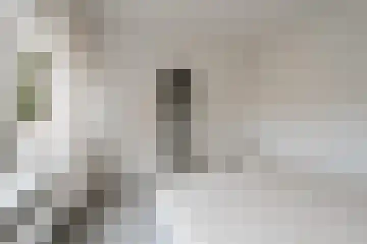 Julianaplantsoen 153 Diemen thumbnail 31