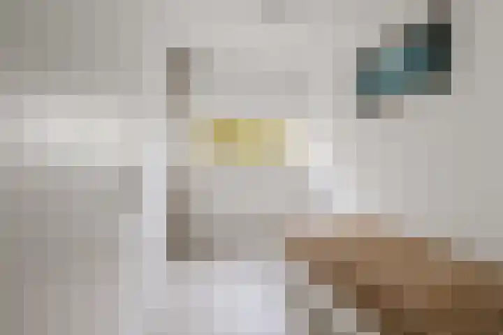 Julianaplantsoen 153 Diemen thumbnail 33