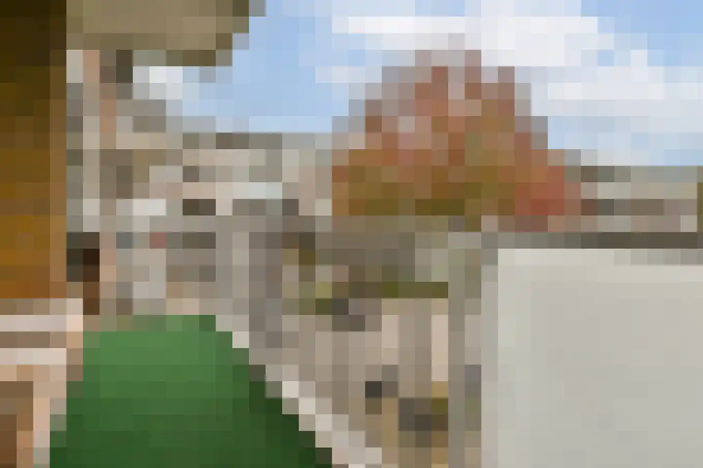 Julianaplantsoen 169 Diemen thumbnail 16