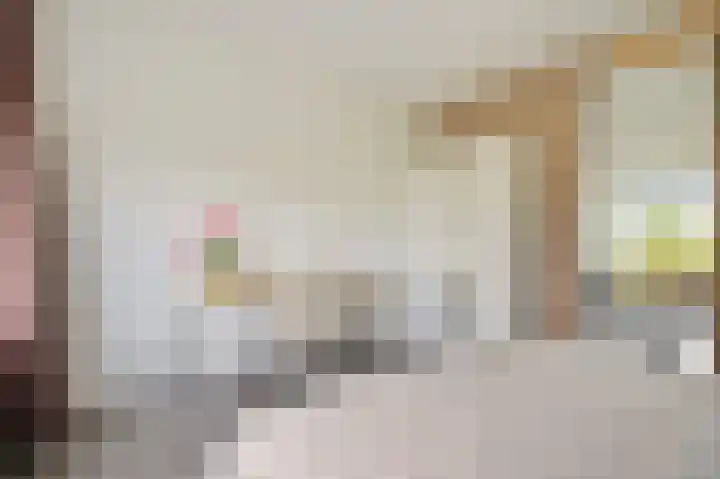 Julianaplantsoen 170 Diemen thumbnail 13