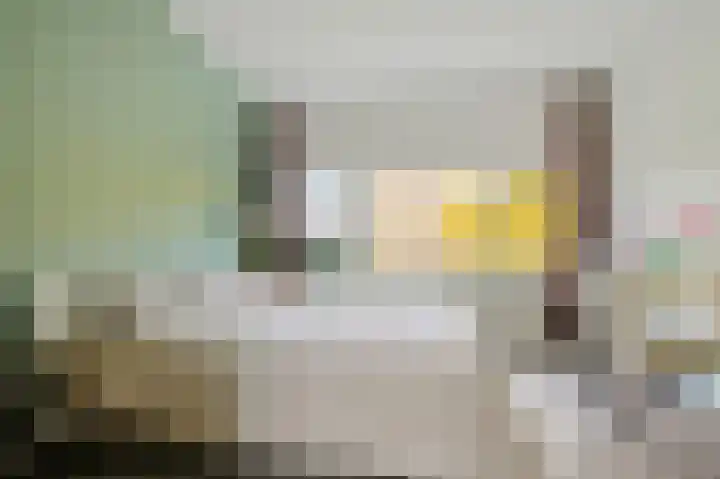 Julianaplantsoen 170 Diemen thumbnail 14