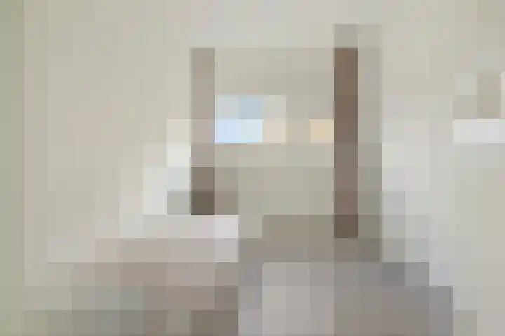 Julianaplantsoen 170 Diemen thumbnail 16
