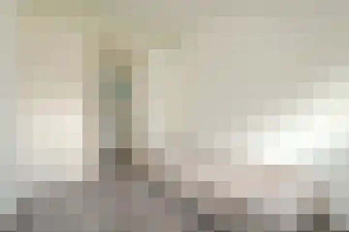Julianaplantsoen 170 Diemen thumbnail 17