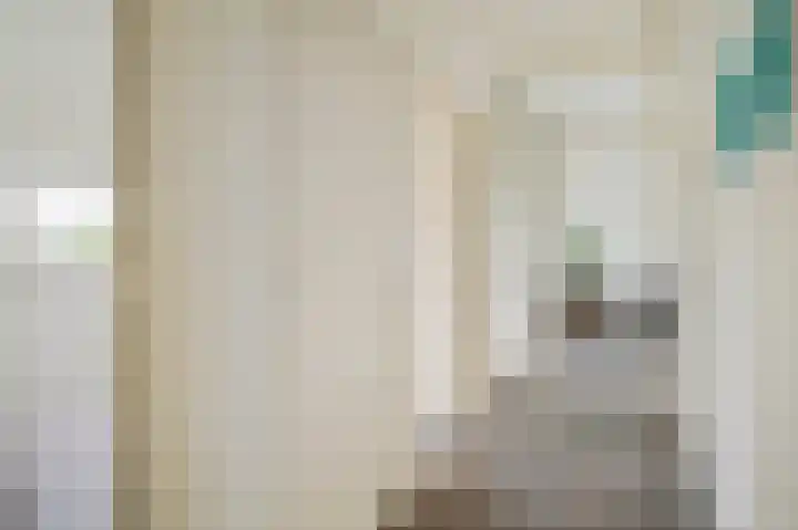 Julianaplantsoen 170 Diemen thumbnail 19
