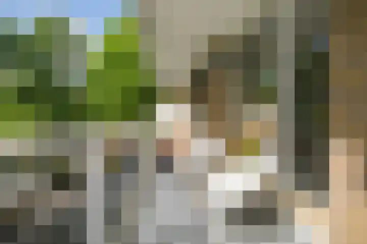 Julianaplantsoen 170 Diemen thumbnail 21