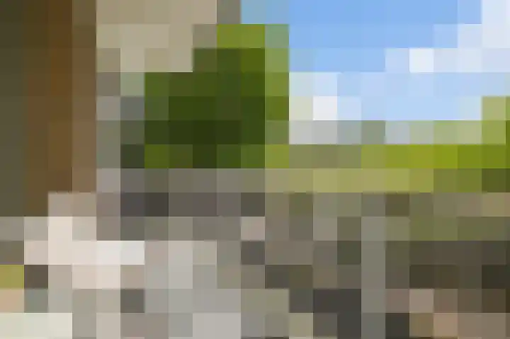 Julianaplantsoen 170 Diemen thumbnail 22
