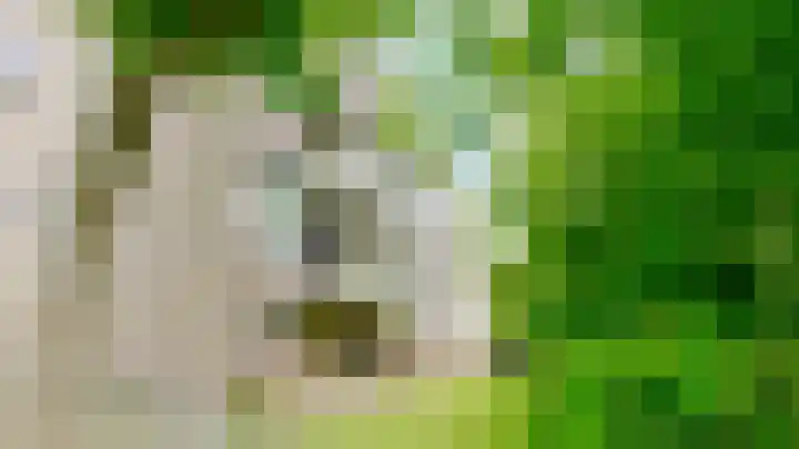 Julianaplantsoen 170 Diemen thumbnail 23