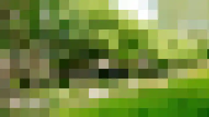 Julianaplantsoen 170 Diemen thumbnail 25