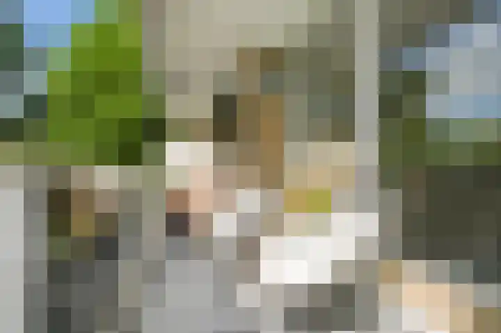 Julianaplantsoen 170 Diemen thumbnail 4