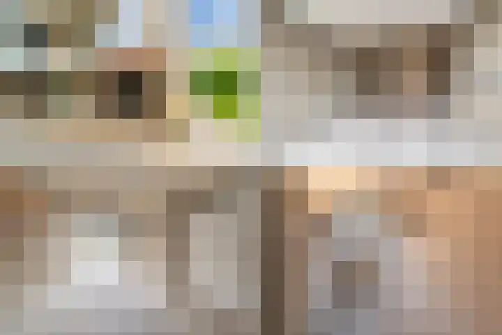 Julianaplantsoen 179 Diemen thumbnail 33