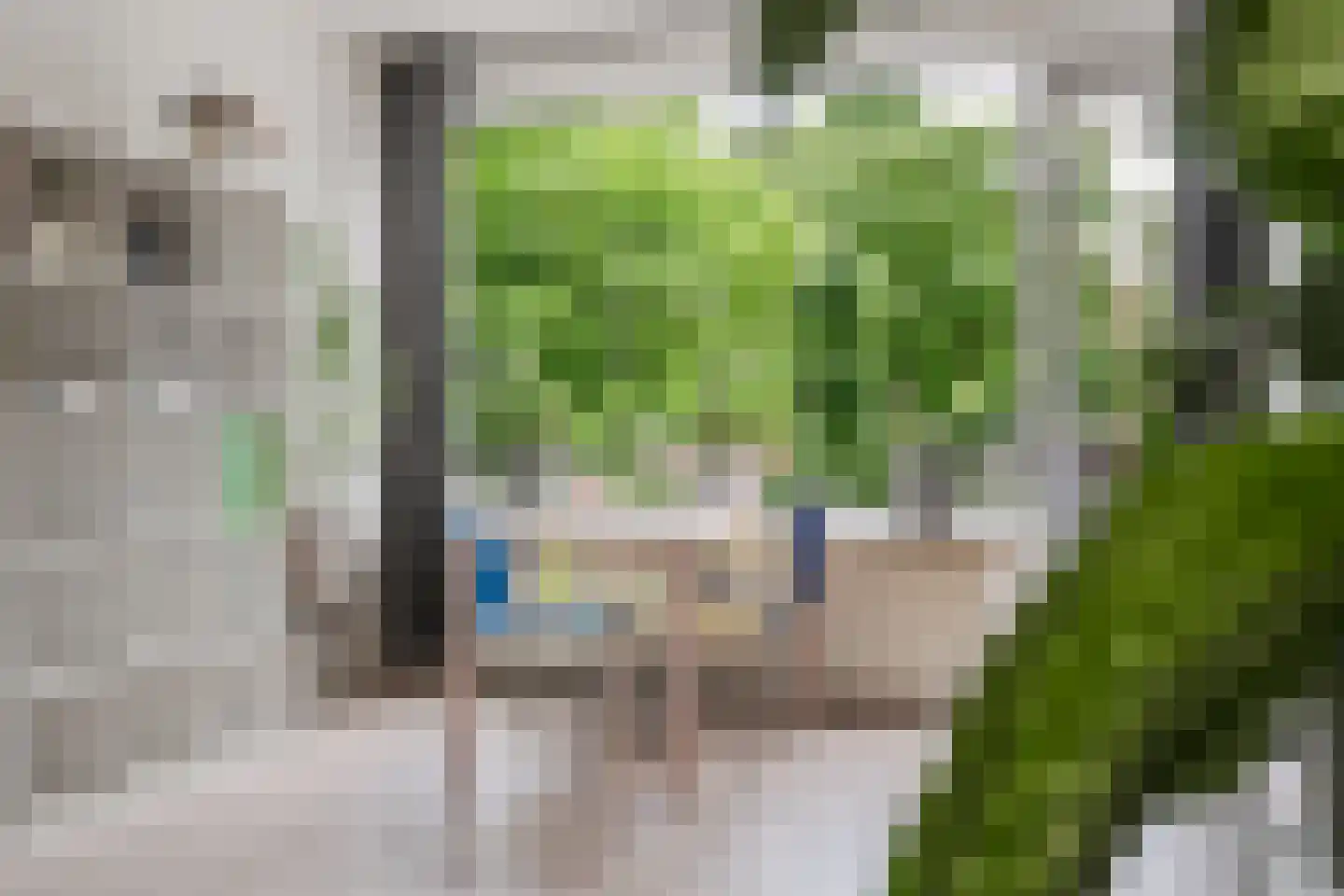 Julianaplantsoen 198 Diemen thumbnail 16