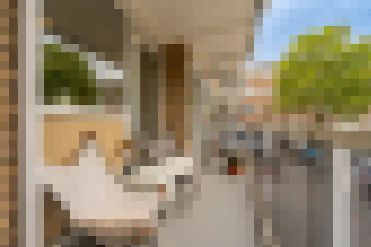 Julianaplantsoen 198 Diemen thumbnail 25