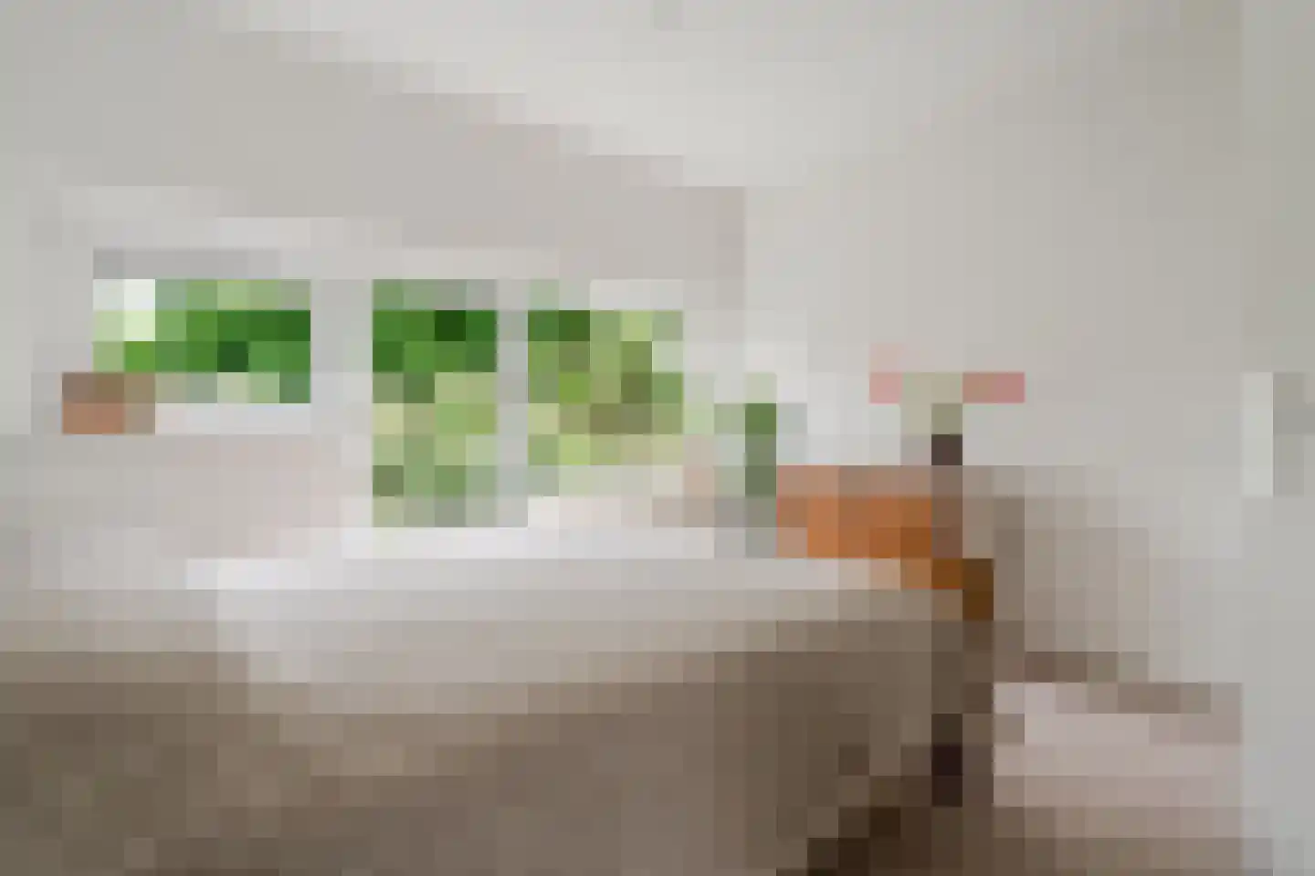 Julianaplantsoen 198 Diemen thumbnail 28