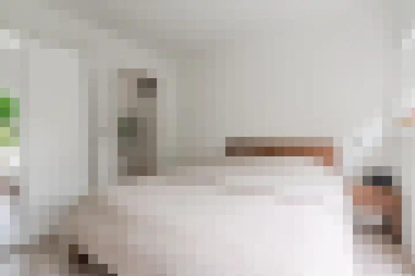 Julianaplantsoen 198 Diemen thumbnail 29