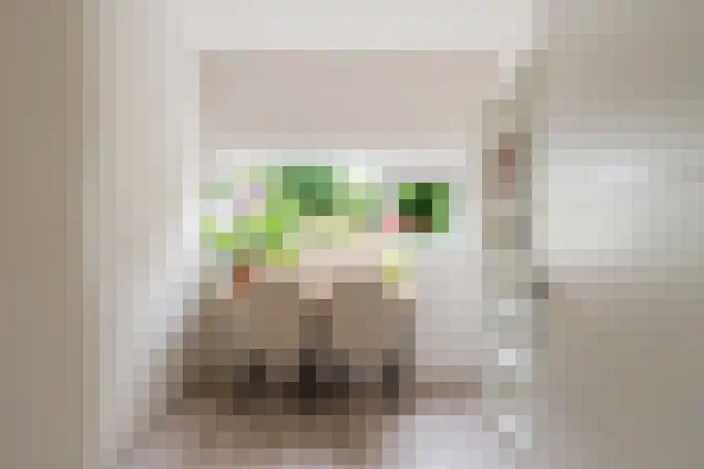 Julianaplantsoen 198 Diemen thumbnail 30