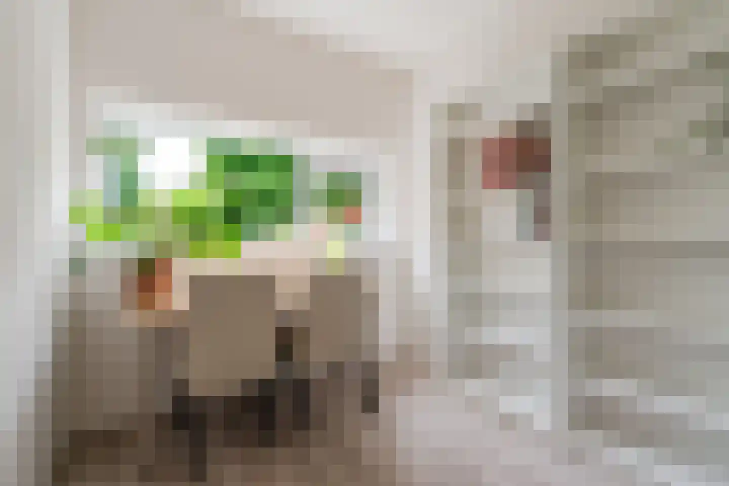 Julianaplantsoen 198 Diemen thumbnail 31