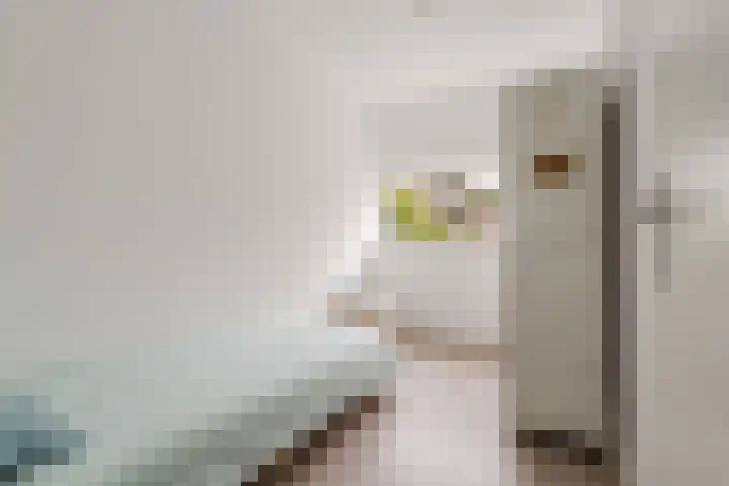 Julianaplantsoen 198 Diemen thumbnail 34