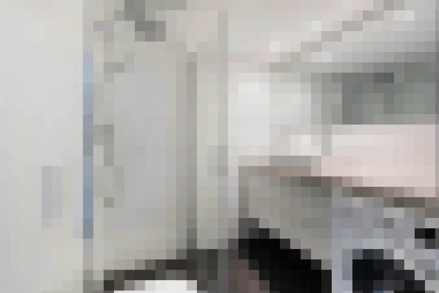 Julianaplantsoen 214 Diemen thumbnail 17