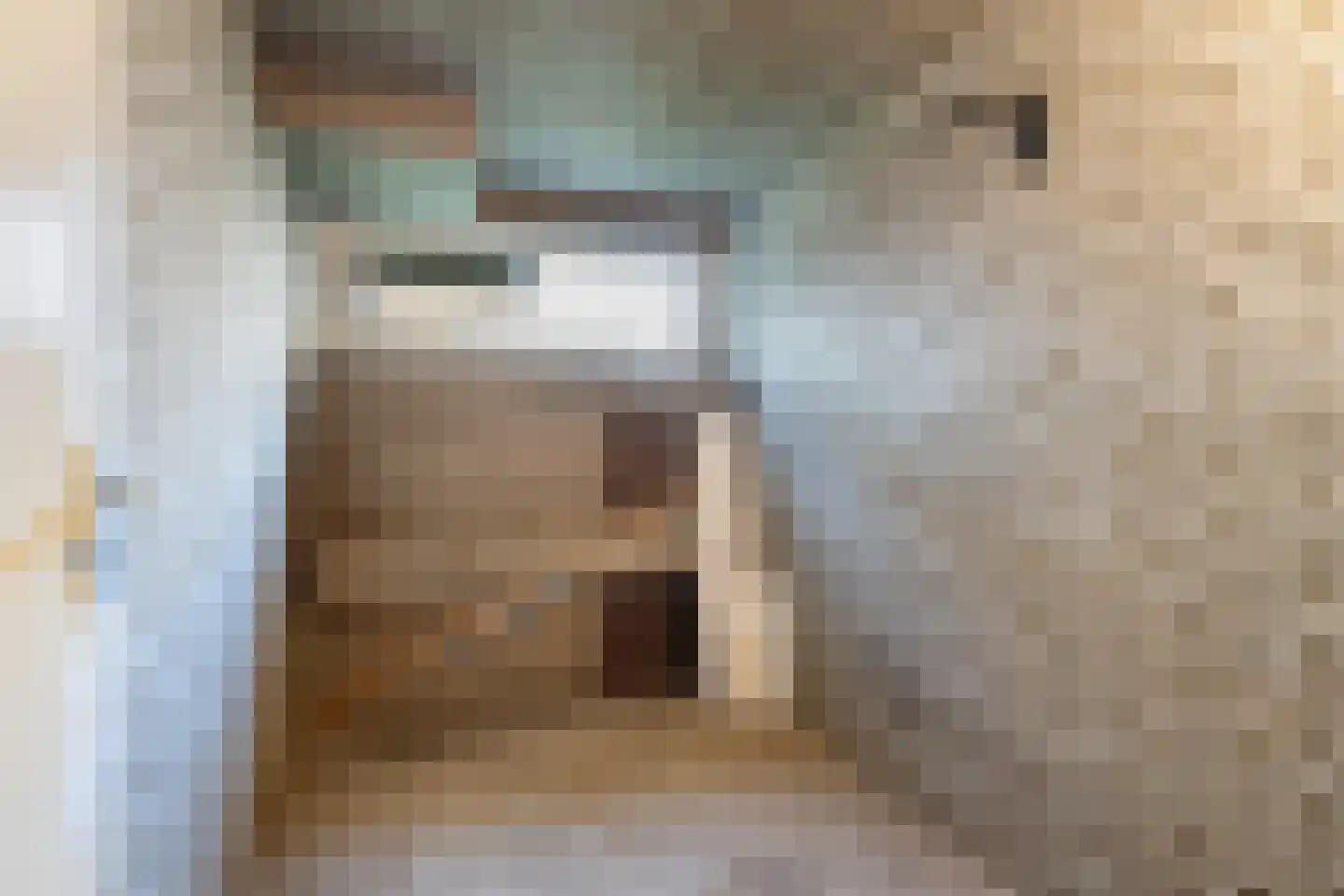 Julianaplantsoen 214 Diemen thumbnail 20