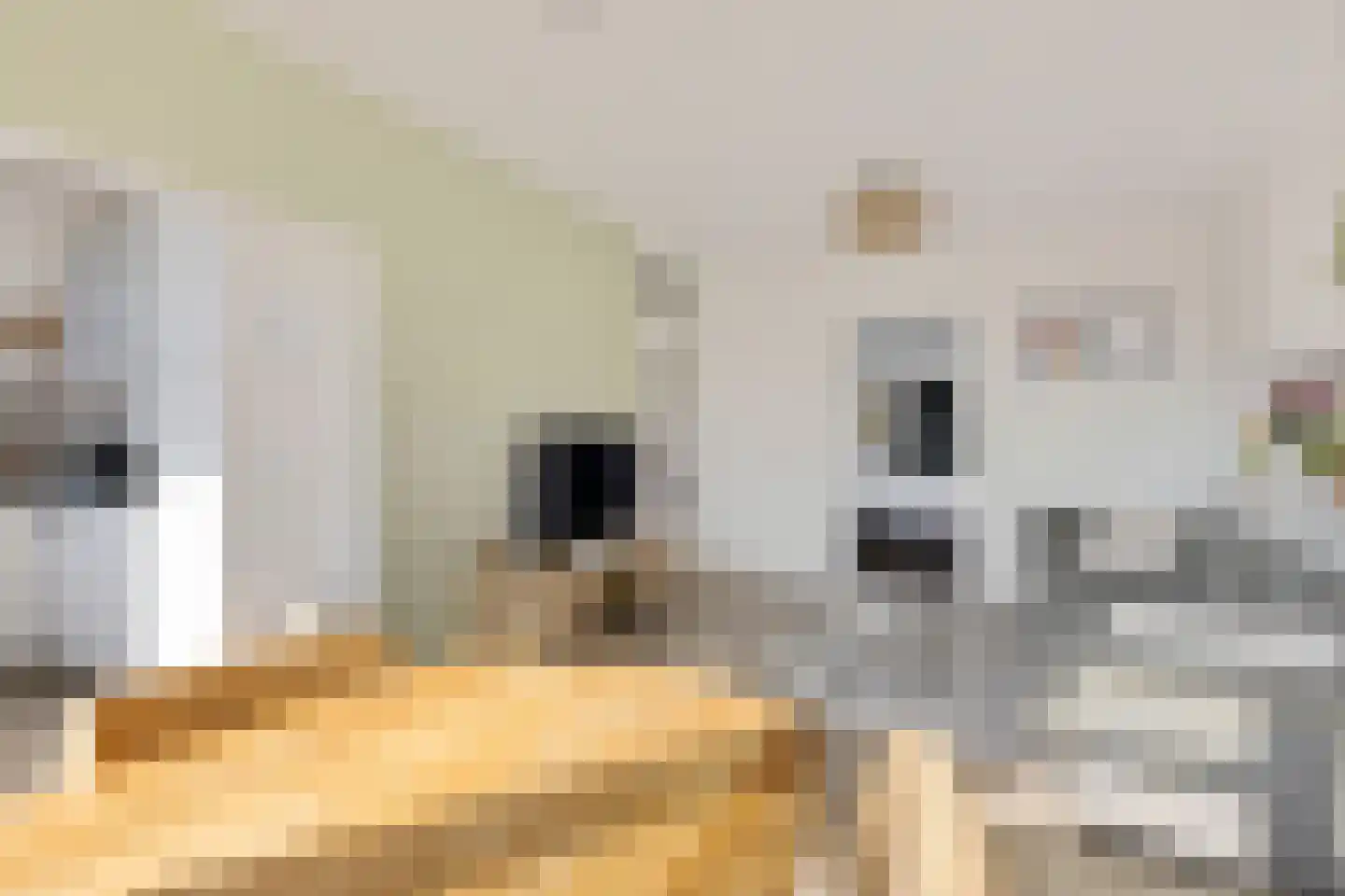Julianaplantsoen 23 Diemen thumbnail 11