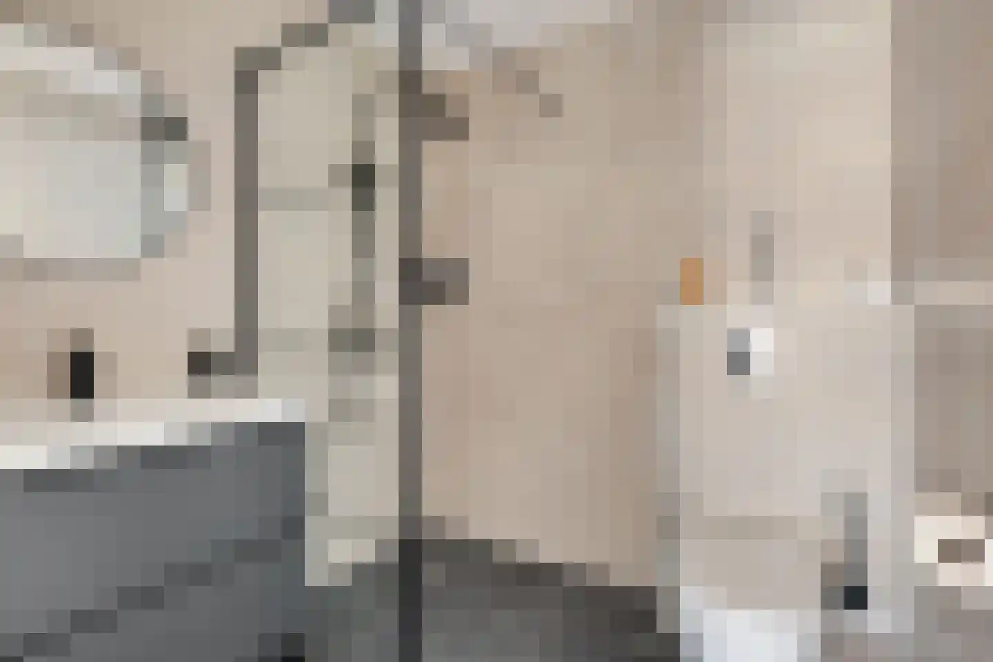 Julianaplantsoen 23 Diemen thumbnail 19