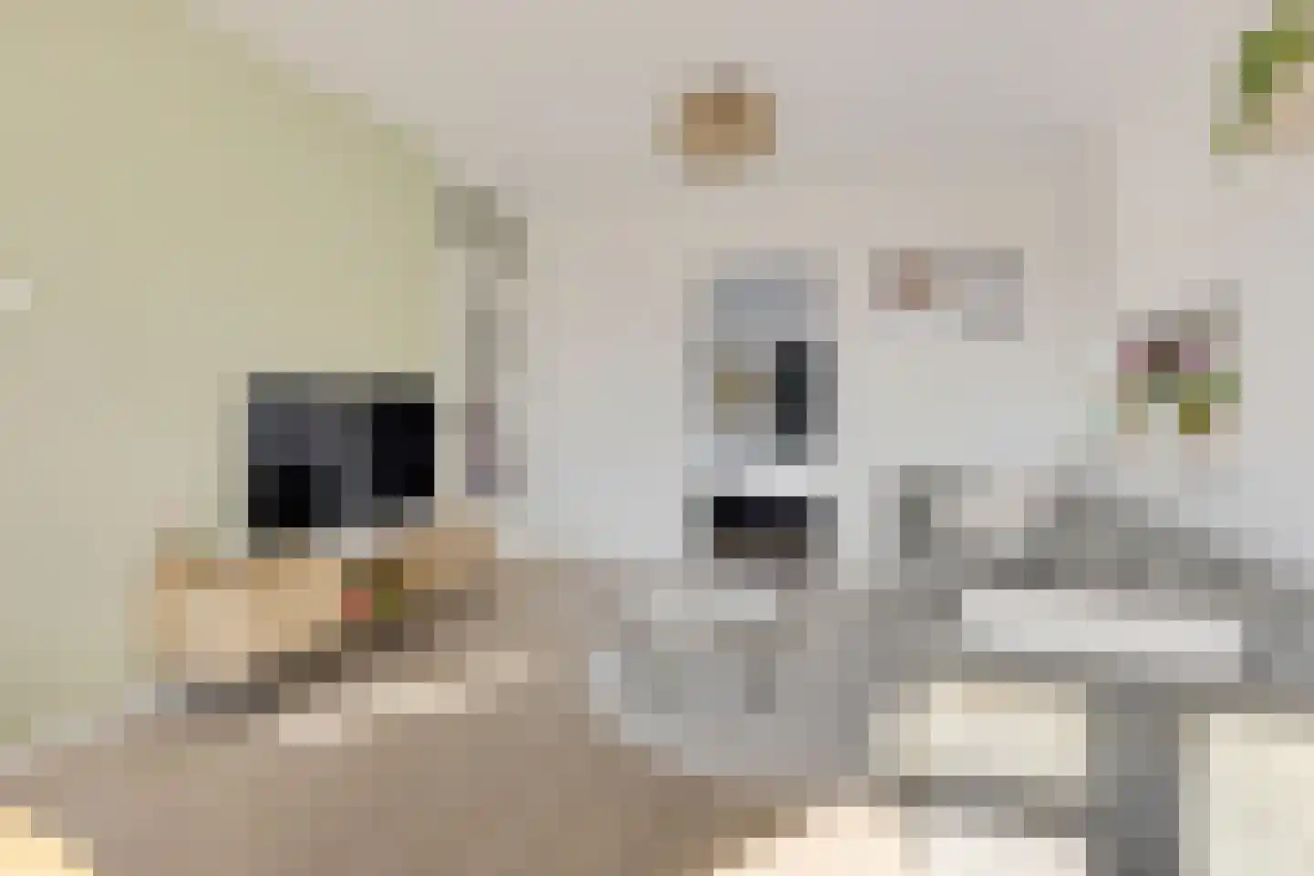 Julianaplantsoen 23 Diemen thumbnail 7