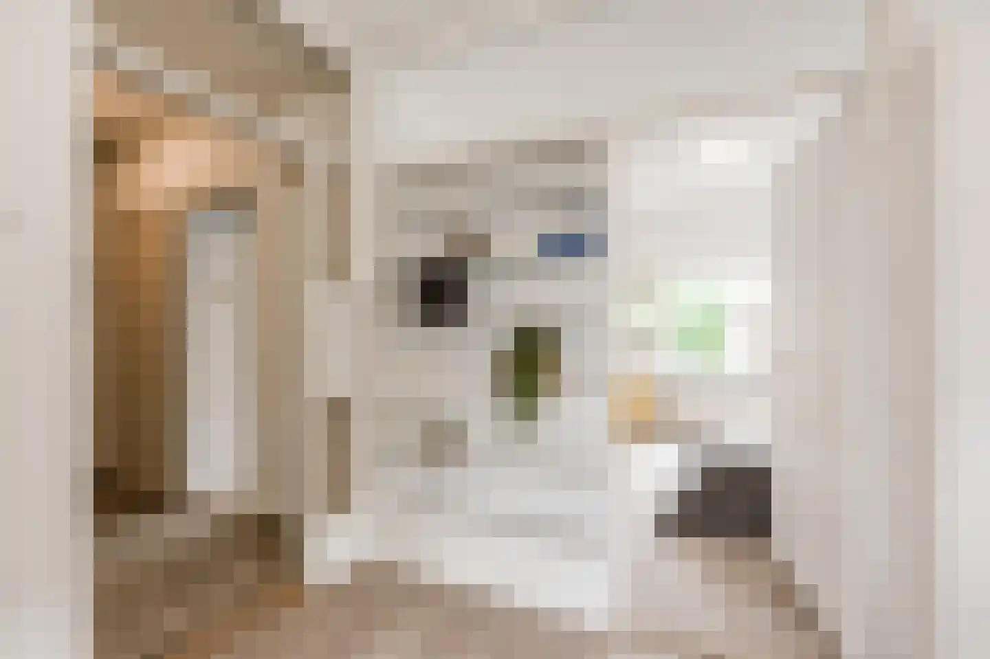 Julianaplantsoen 236 Diemen thumbnail 15