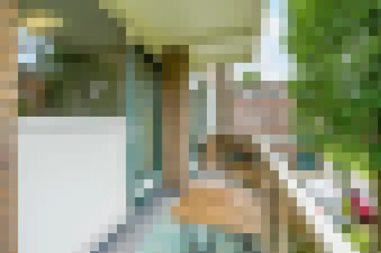 Julianaplantsoen 236 Diemen thumbnail 22