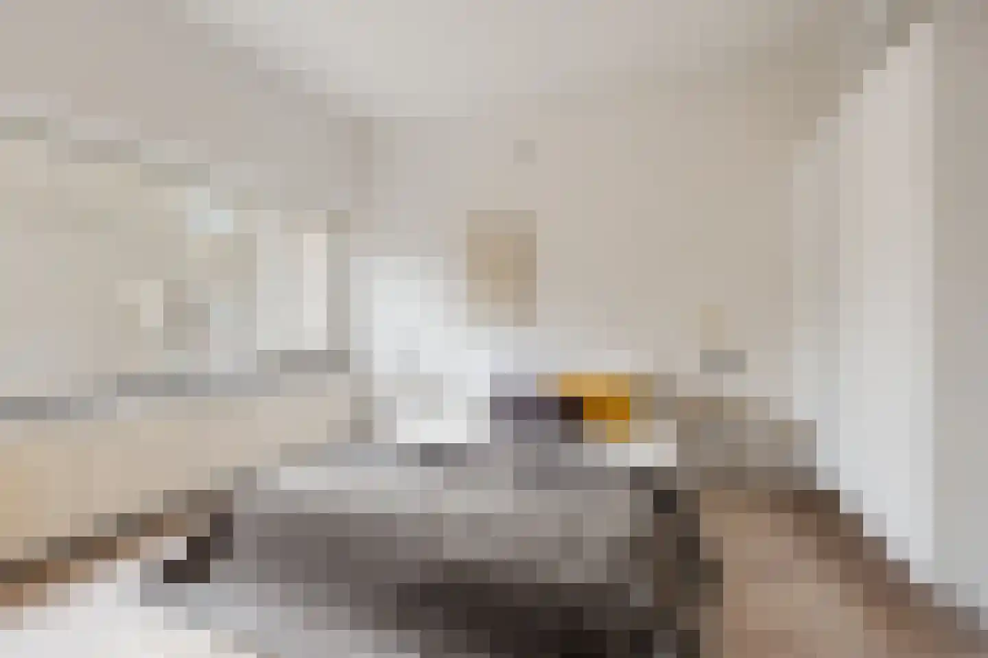 Julianaplantsoen 236 Diemen thumbnail 25