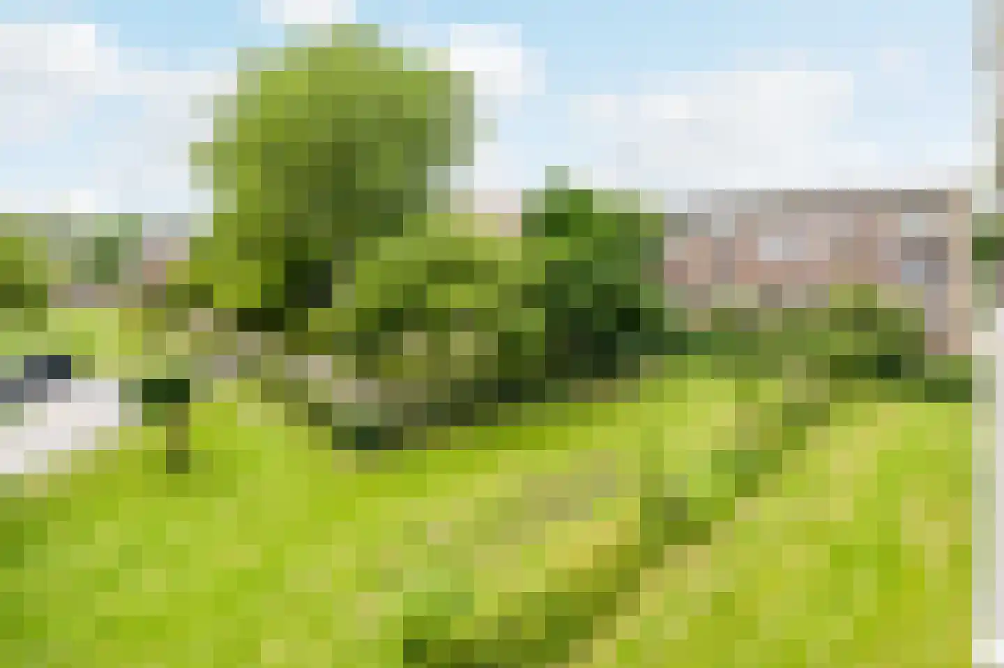 Julianaplantsoen 236 Diemen thumbnail 42