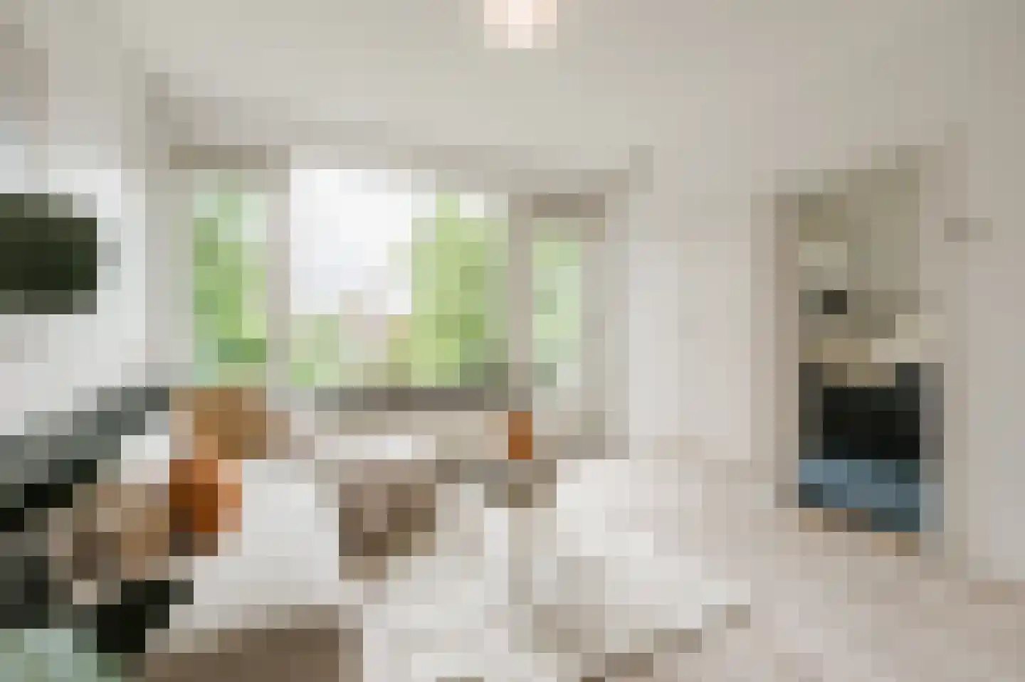 Julianaplantsoen 236 Diemen thumbnail 8