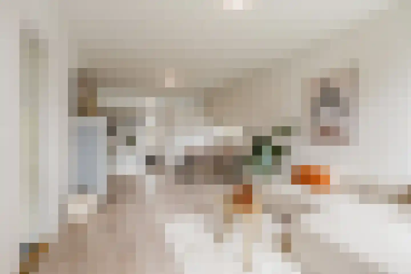 Julianaplantsoen 236 Diemen thumbnail 9