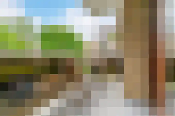 Julianaplantsoen 241 Diemen thumbnail 15