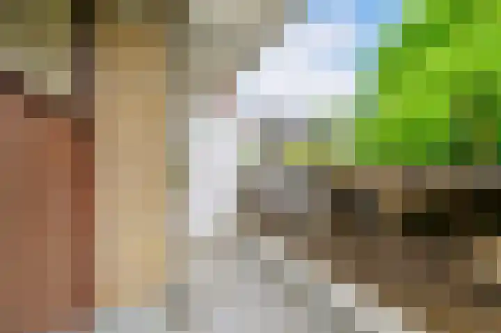 Julianaplantsoen 241 Diemen thumbnail 16