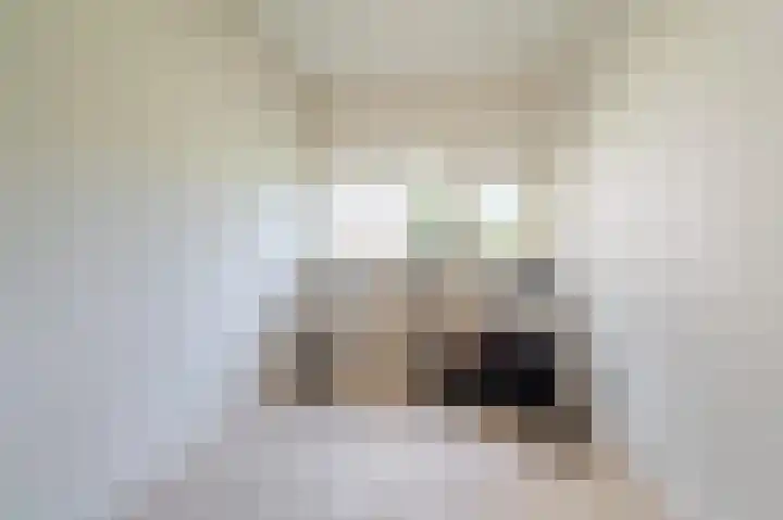 Julianaplantsoen 241 Diemen thumbnail 19