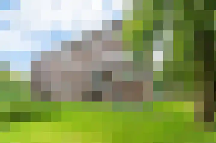 Julianaplantsoen 241 Diemen thumbnail 33