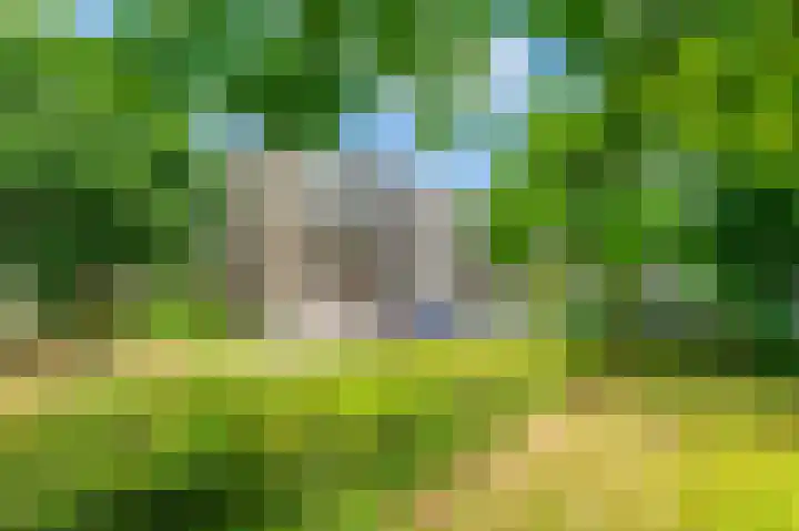 Julianaplantsoen 241 Diemen thumbnail 36