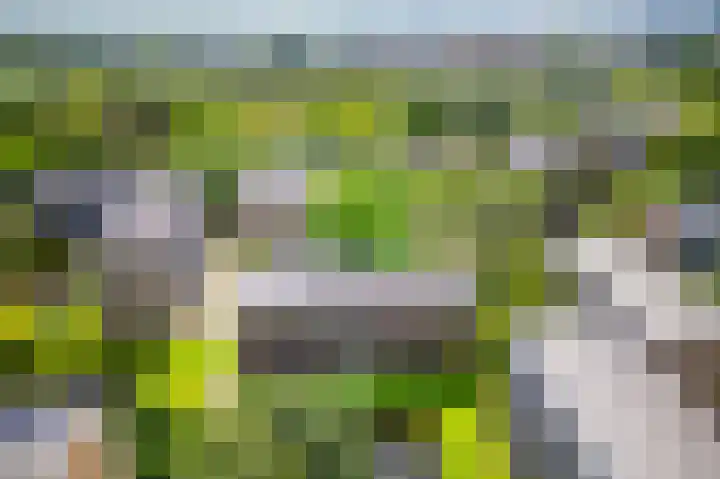 Julianaplantsoen 241 Diemen thumbnail 40