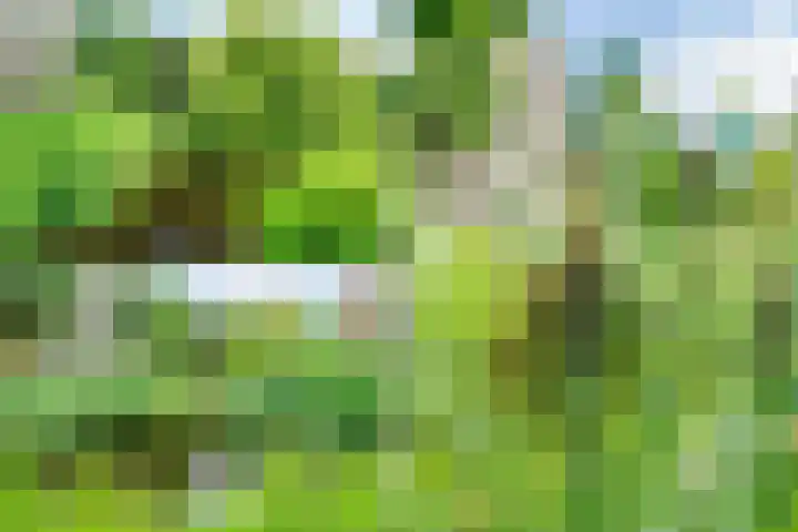 Julianaplantsoen 241 Diemen thumbnail 44