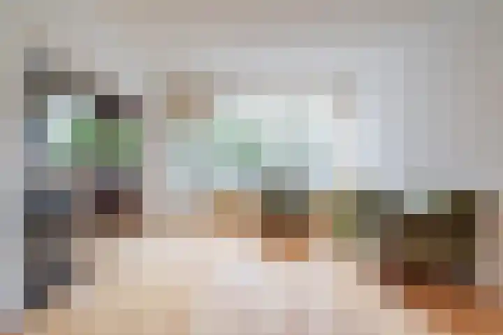 Julianaplantsoen 241 Diemen thumbnail 8