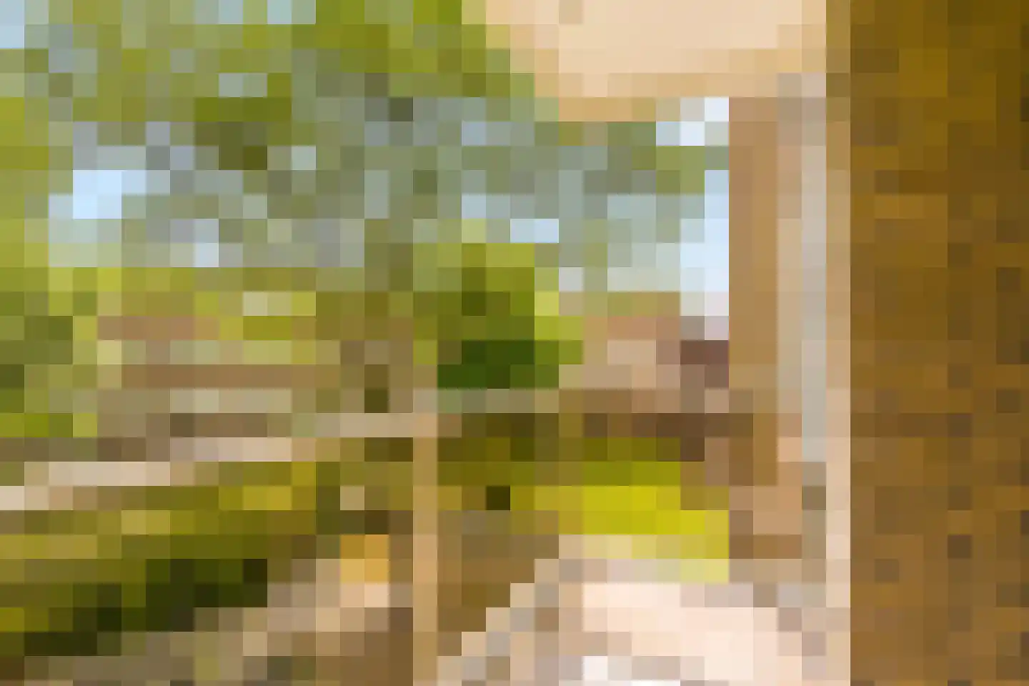 Julianaplantsoen 244 Diemen thumbnail 17