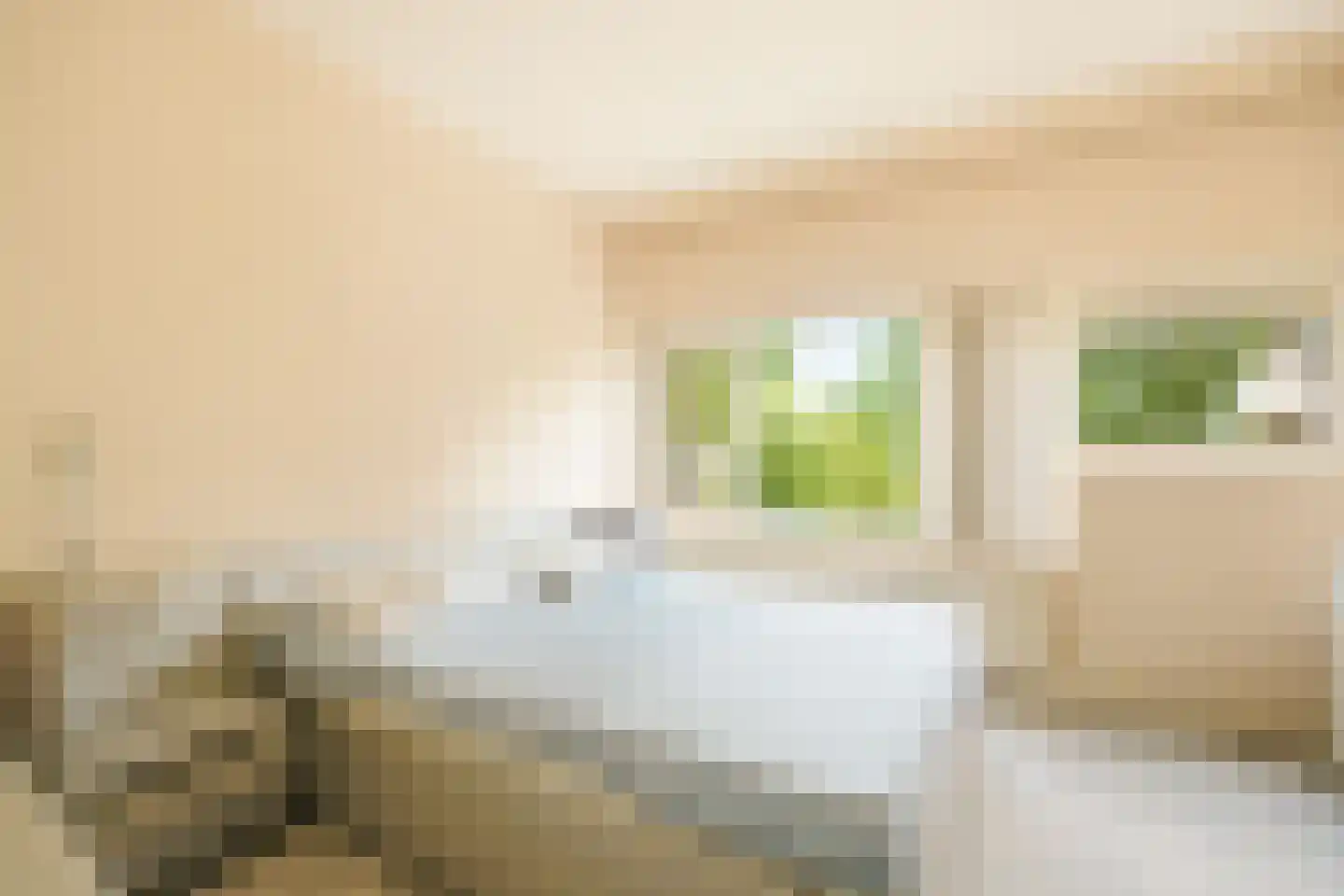 Julianaplantsoen 244 Diemen thumbnail 5
