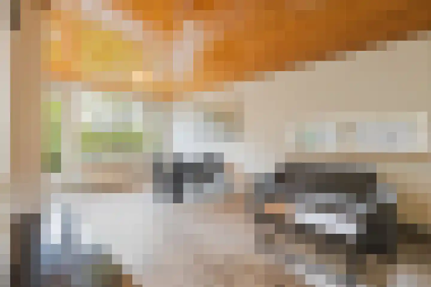 Julianaplantsoen 246 Diemen thumbnail 16