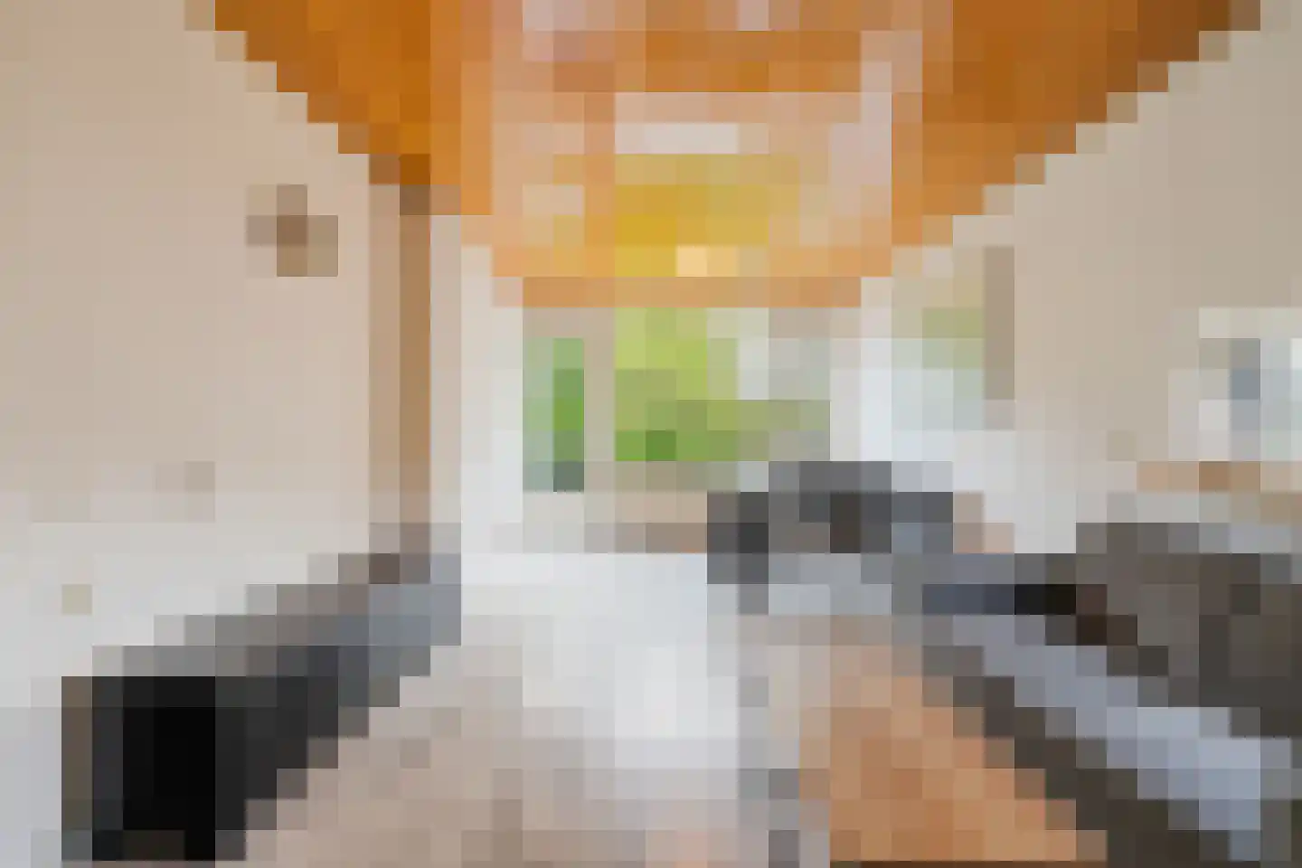 Julianaplantsoen 246 Diemen thumbnail 17