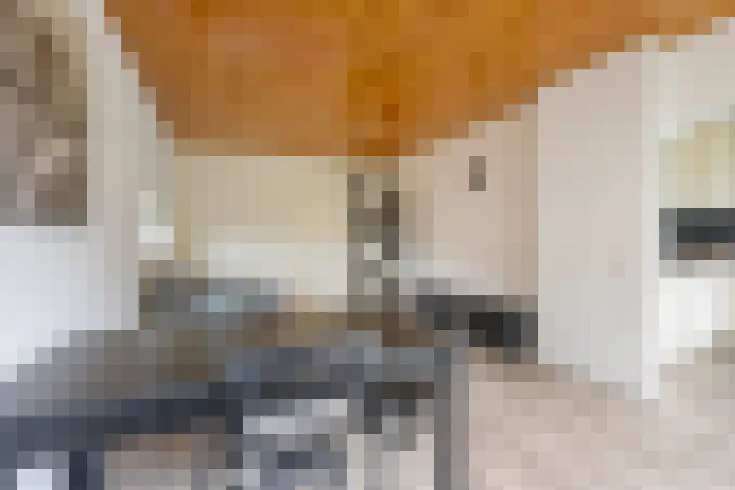 Julianaplantsoen 246 Diemen thumbnail 23
