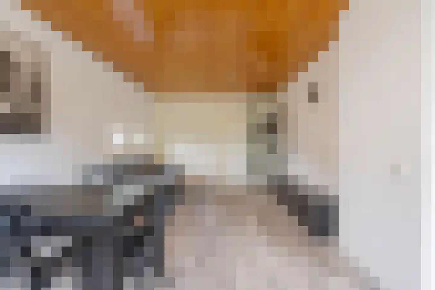 Julianaplantsoen 246 Diemen thumbnail 24
